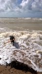 1697105225742.jpeg