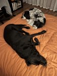 IMG_1872.jpeg