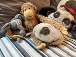 IMG_1895.jpeg