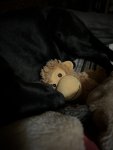 IMG_1902.jpeg