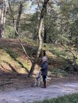 IMG_7209.jpeg