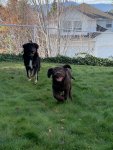 24F30820-30AA-485C-8601-75FAEC02BDB8.jpeg