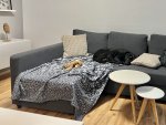IMG_2040.jpeg