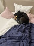 IMG_2075.jpeg