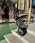 IMG_2283.jpeg