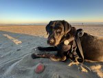 IMG_2351.jpeg