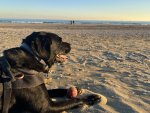 IMG_2343.jpeg