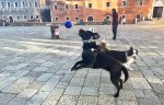 IMG_2313.jpeg