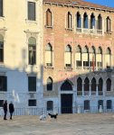 IMG_2308.jpeg