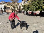IMG_2440.jpeg