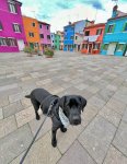 IMG_2693.jpeg
