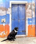 IMG_2676.jpeg