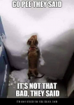 1701411282607.png