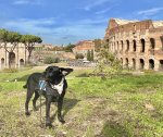 IMG_3024.jpeg