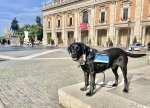 IMG_3099.jpeg