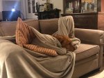 IMG_6475.jpeg