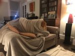 IMG_6471.jpeg