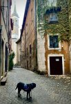 IMG_3148.jpeg