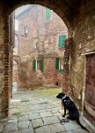 IMG_3479.jpeg