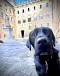 IMG_3454.jpeg