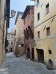 IMG_3536.jpeg