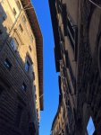 IMG_3614.jpeg