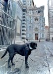 IMG_3570.jpeg