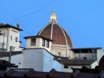 IMG_3560.jpeg