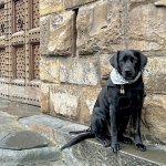 IMG_3624.jpeg