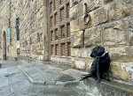 IMG_3622.jpeg