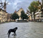 IMG_3665.jpeg