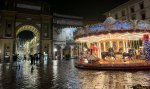 IMG_3651.jpeg