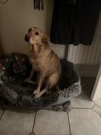 IMG_6471.jpeg