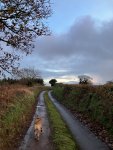 IMG_7640.jpeg