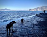 IMG_4592.jpeg