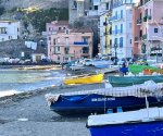 IMG_4625.jpeg