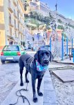 IMG_4609.jpeg