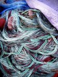 IMG_4601.jpeg