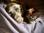 IMG_4628.jpeg
