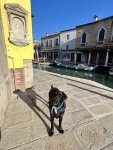 IMG_5238.jpeg