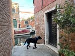 IMG_5354.jpeg