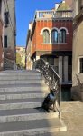 IMG_5326.jpeg