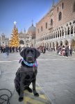 IMG_5375.jpeg