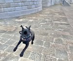 IMG_5444.jpeg