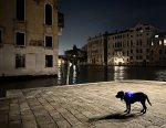 IMG_5573.jpeg