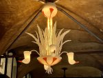 IMG_5996.jpeg