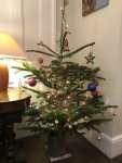 IMG_6580.jpeg