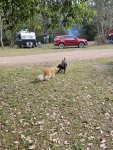20231228_195254.jpg