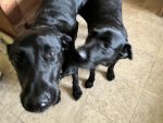 IMG_6210.jpeg