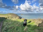 IMG_6232.jpeg